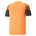 T-Shirt de Futebol de Manga Curta Homem Puma Individual Cup Training