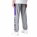 Pantalón para Adultos New Era NBA LA Lakers  Gris Hombre