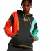 Herenhoodie Puma  In 