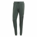 Volwassenen Trainingbroek Adidas Future Icons 3 Groen Mannen