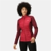 Sportjacke für Frauen Regatta Clumber Hybrid IV Rot