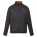 Chaqueta Deportiva para Hombre Regatta Clumber IV Hybrid Negro