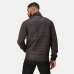 Chaqueta Deportiva para Hombre Regatta Clumber IV Hybrid Negro