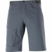 Sport Shorts Salomon Wayfarer Moutain Grå