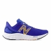 Hardloopschoenen voor Volwassenen New Balance  Fresh Foam  Mannen Blauw