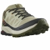 Herren-Sportschuhe Salomon Outrise Gore-Tex Gelb