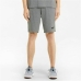 Miesten urheilushortsit Puma Essentials Vaaleanharmaa