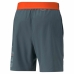 Men's Sports Shorts Puma Power Colorblock 11