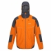 Chaqueta Deportiva para Hombre Regatta Imber VII Naranja