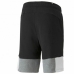 Pantaloni Scurți Sport pentru Bărbați Puma Essentials+ Negru