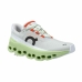 Pantofi sport pentru femei On Running Cloudmonster Femeie Gri