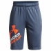 Lasten urheilushortsit Under Armour Prototype 2.0 Logo Sininen