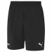 Short de Sport pour Homme Puma Team Liga Noir