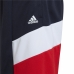 Pantaloncini Sportivi per Bambini Adidas  D2M Big Logo Blu scuro