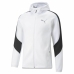 Chaqueta Deportiva para Hombre Puma Evostripe