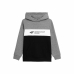 Sudadera Infantil 4F JBLM003  Gris