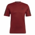 Herren Kurzarm-T-Shirt Adidas  T365 Training  Dunkelrot