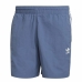 Miesten uimahousut Adidas Adicolor Classics Swim Harmaa