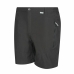 Herren-Sportshorts Regatta Schwarz