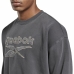 Herensweater zonder Capuchon Reebok Classics Premium Donker grijs