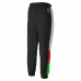 Pantaloni lungi de sport Puma Sportswear TFS OG Track Negru Bărbați