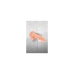 Zwarte Dildo Real Body 18 cm