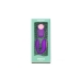 Couples Massager Diversual Purple