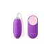 Vibrador Ovo Diversual Roxo