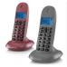 Belaidis telefonas Motorola C1002 (2 pcs)