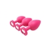 Anal plug Dream Toys Flirts Pink 3 Pieces