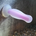 Anal plug Evolved Purple