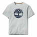 Camiseta de Manga Corta Hombre Timberland Kennebec River Tree Gris