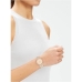 Ladies' Watch Calvin Klein 25200277 (Ø 34 mm)