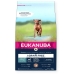 Foder Eukanuba Venison Oksekød 3 Kg