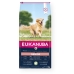 Fôr Eukanuba Senior Large&Giant Lamb with rice Lam 12 kg