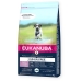 Φαγητό για ζώα Eukanuba Puppy large breed grain free ocean fish Ψάρια 3 Kg