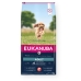 Krma Eukanuba Adult Small&Medium Salmon Riba 12 kg