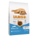 Foder IAMS Vitality Cat Kitten Ocean Fish Fisk 10 kg