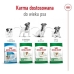 Foder Royal Canin Adult Mini S Fåglar 8 kg