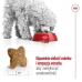 Foder Royal Canin Adult Mini S Fåglar 8 kg