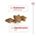 Rehu Royal Canin Adult Mini S Linnut 4 Kg