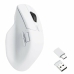 Ratón Keychron Blanco 26000 DPI