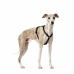 Hundesele Hunter Svart L M/L