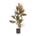 Dekorativ plante PVC Jern Figen 36 x 37 x 90 cm