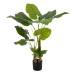 Decoratieve plant 80 x 90 x 140 cm Groen Philodendron