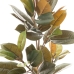 Decorative Plant PVC Iron Fig Tree 36 x 37 x 90 cm