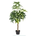 Dekorativ plante 54 x 52 x 120 cm Grøn PVC