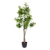 Decoratieve plant Groen PVC 145 cm Peperomia