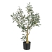 Decoratieve plant Polyester Polyethyleen Olijfboom 56 x 48 x 78 cm