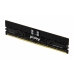 Memorie RAM Kingston KF556R28RBE2-32 32 GB DDR5 5600 MHz cl28